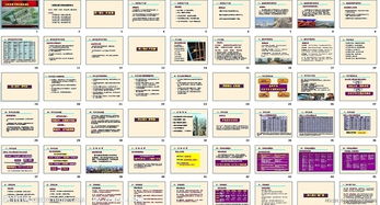 長沙圣悅嘉園房地產項目營銷實操策劃案