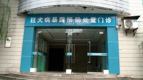 狂犬病 為何發(fā)病后致死率高達(dá)99.9%，每年5.5萬人死亡的警示